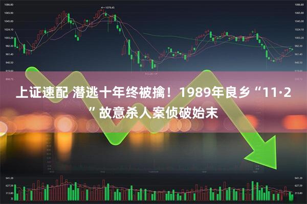 上证速配 潜逃十年终被擒！1989年良乡“11·2”故意杀人案侦破始末