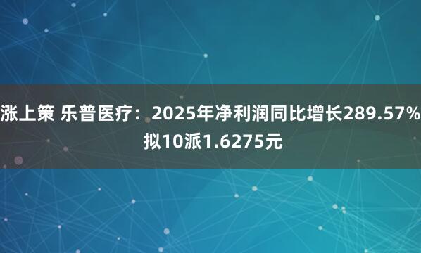 涨上策 乐普医疗：2025年净利润同比增长289.57% 拟10派1.6275元