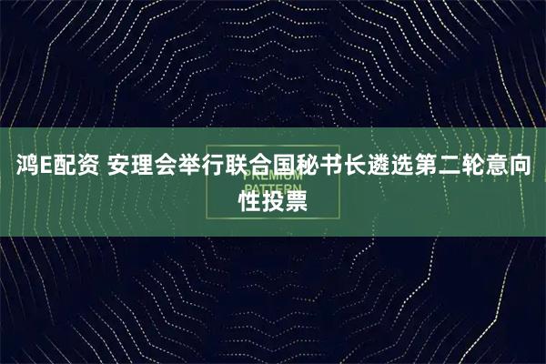 鸿E配资 安理会举行联合国秘书长遴选第二轮意向性投票